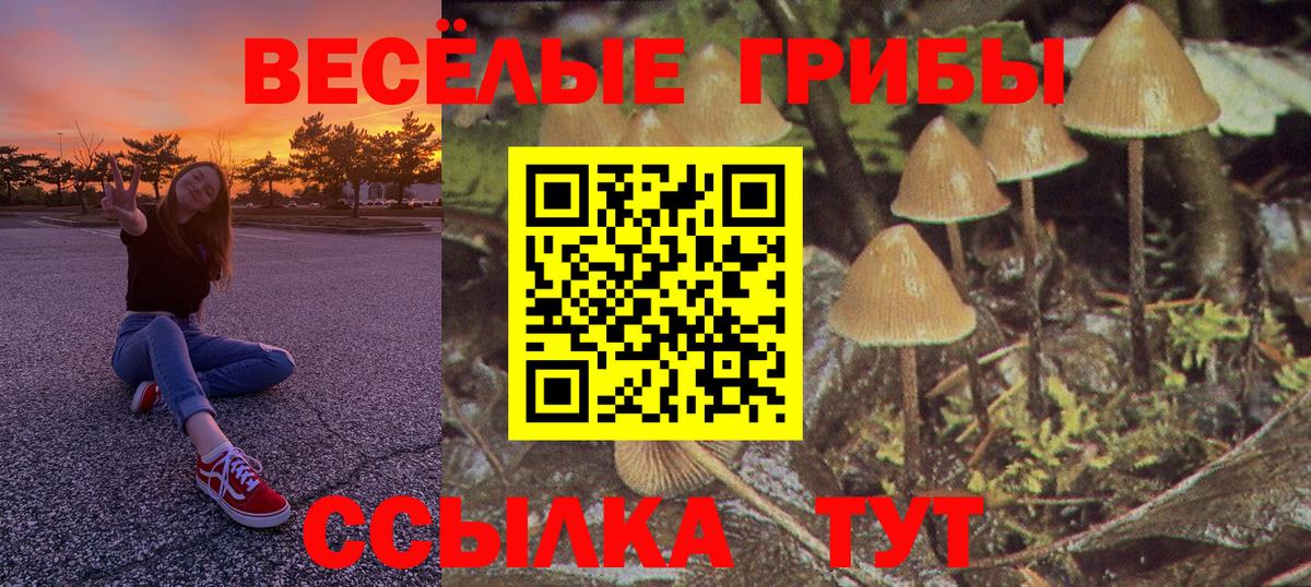Галлюциногенные грибы мухоморы  Вход с VPN  Рыбинск 