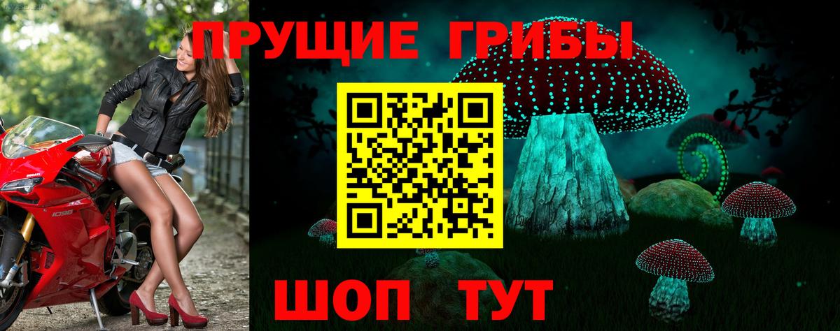 Галлюциногенные грибы GOLDEN TEACHER Рыбинск